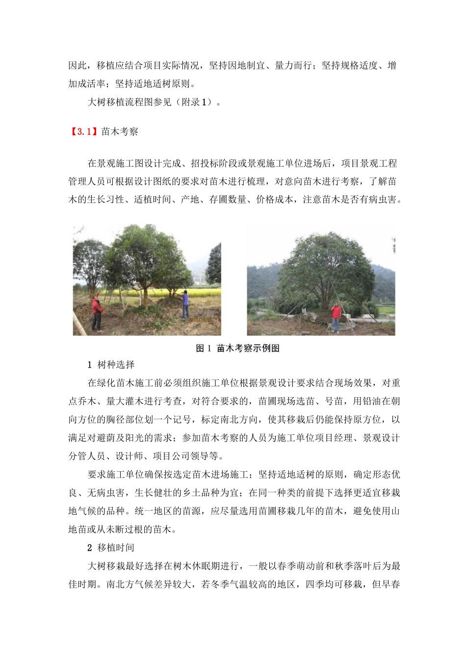 大树移植工艺工法_第2页