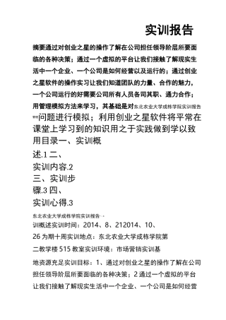 创业之星实训报告