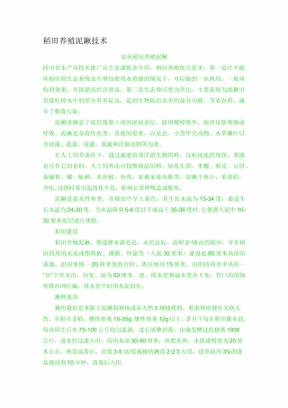 稻田养殖泥鳅技术