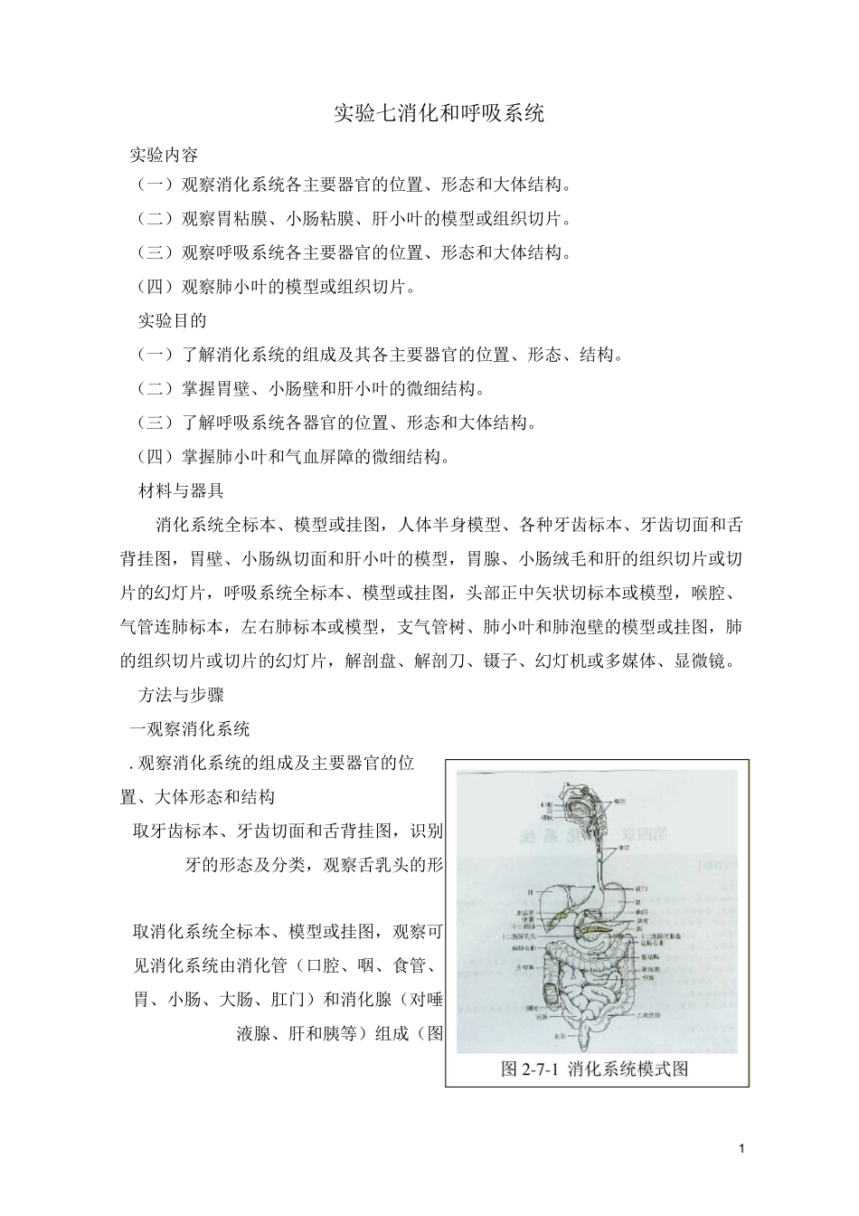 实验七 消化和呼吸系统_第1页
