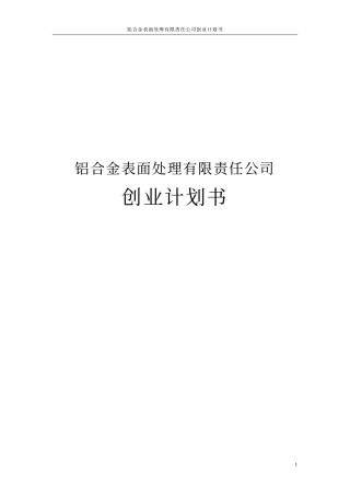 铝合金表面处理有限责任公司创业计划书