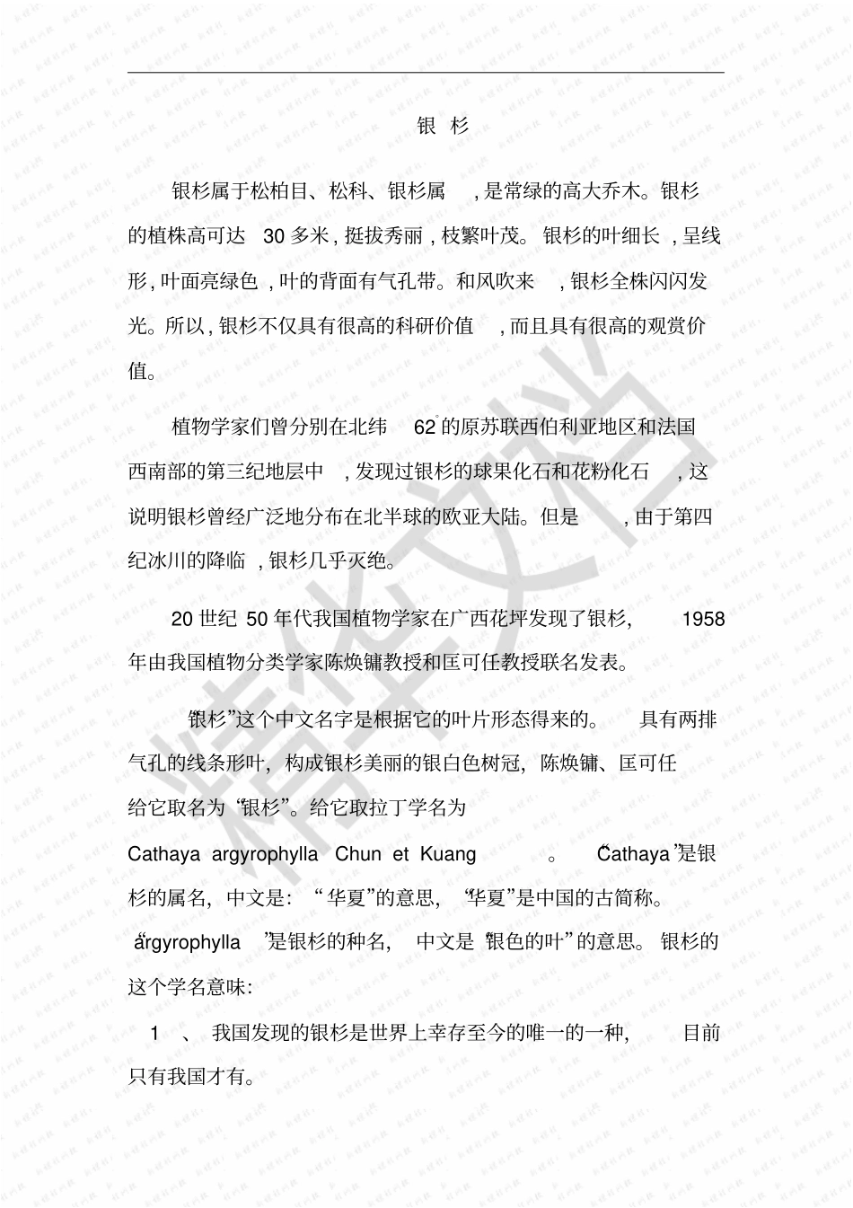 银杉树背景介绍经典_第1页