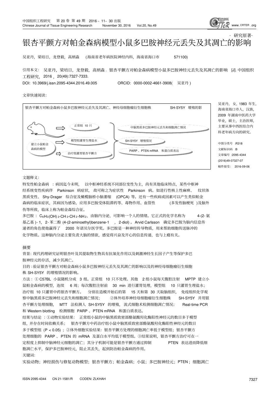 银杏平颤方对帕金森病模型小鼠多巴胺神经元丢失及其凋亡的影响汇总_第1页