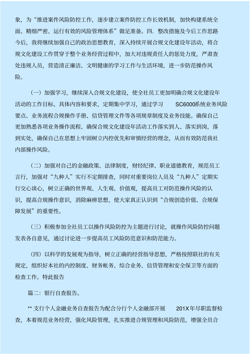 银行自查报告格式与银行自查报告结尾合集_第2页