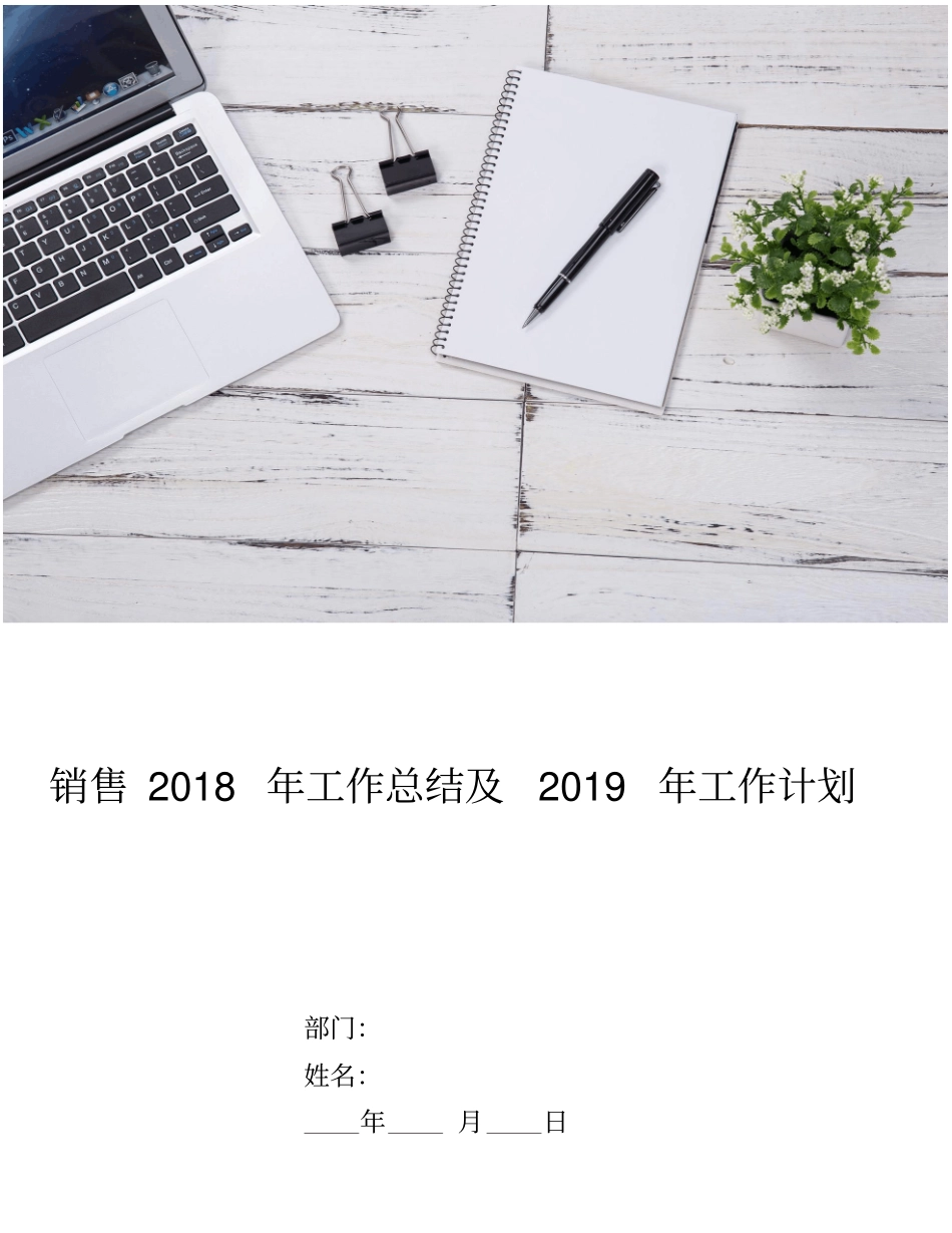 销售2018年工作总结及2019年工作计划_第1页
