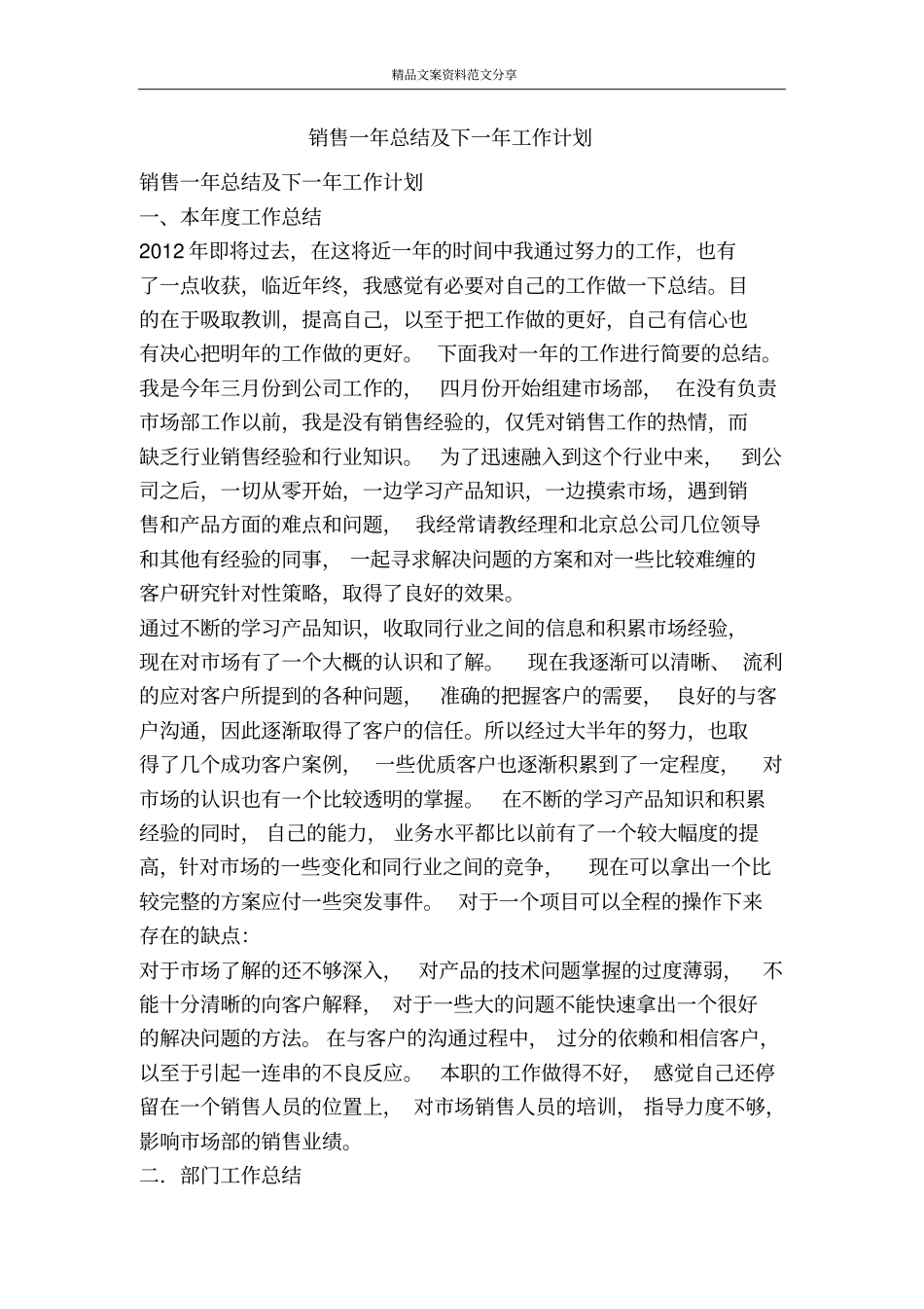 销售一年总结及下一年工作计划-精品文案范文_第1页