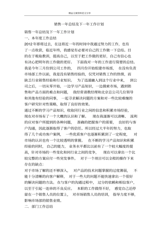 销售一年总结及下一年工作计划-精品文案范文