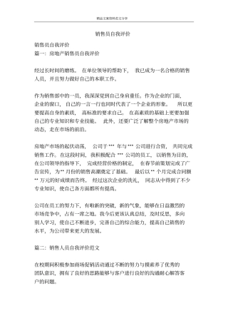 销售员自我评价-精品文案范文