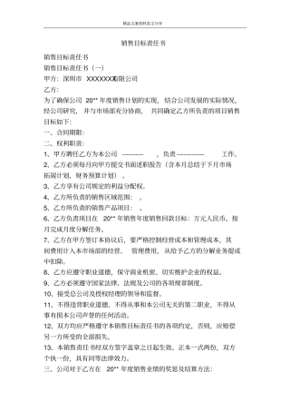 销售目标责任书-精品文案范文