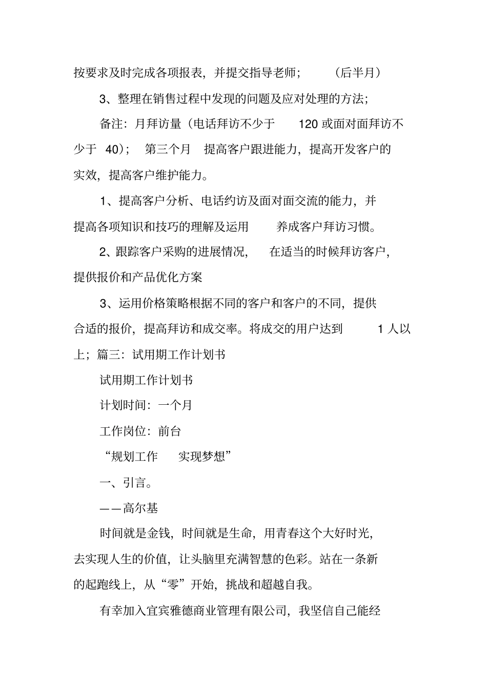 销售试用期工作计划表_第3页