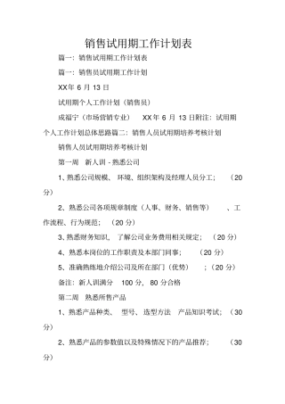 销售试用期工作计划表