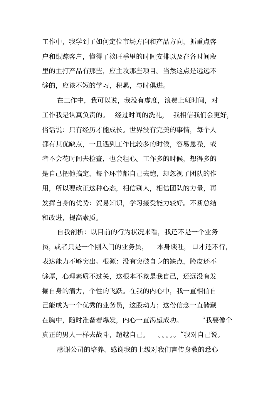 销售述职报告ppt_2_第2页