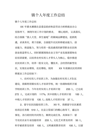 镇个人年工作总结