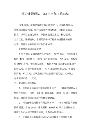 镇企业管理站上半年工作总结