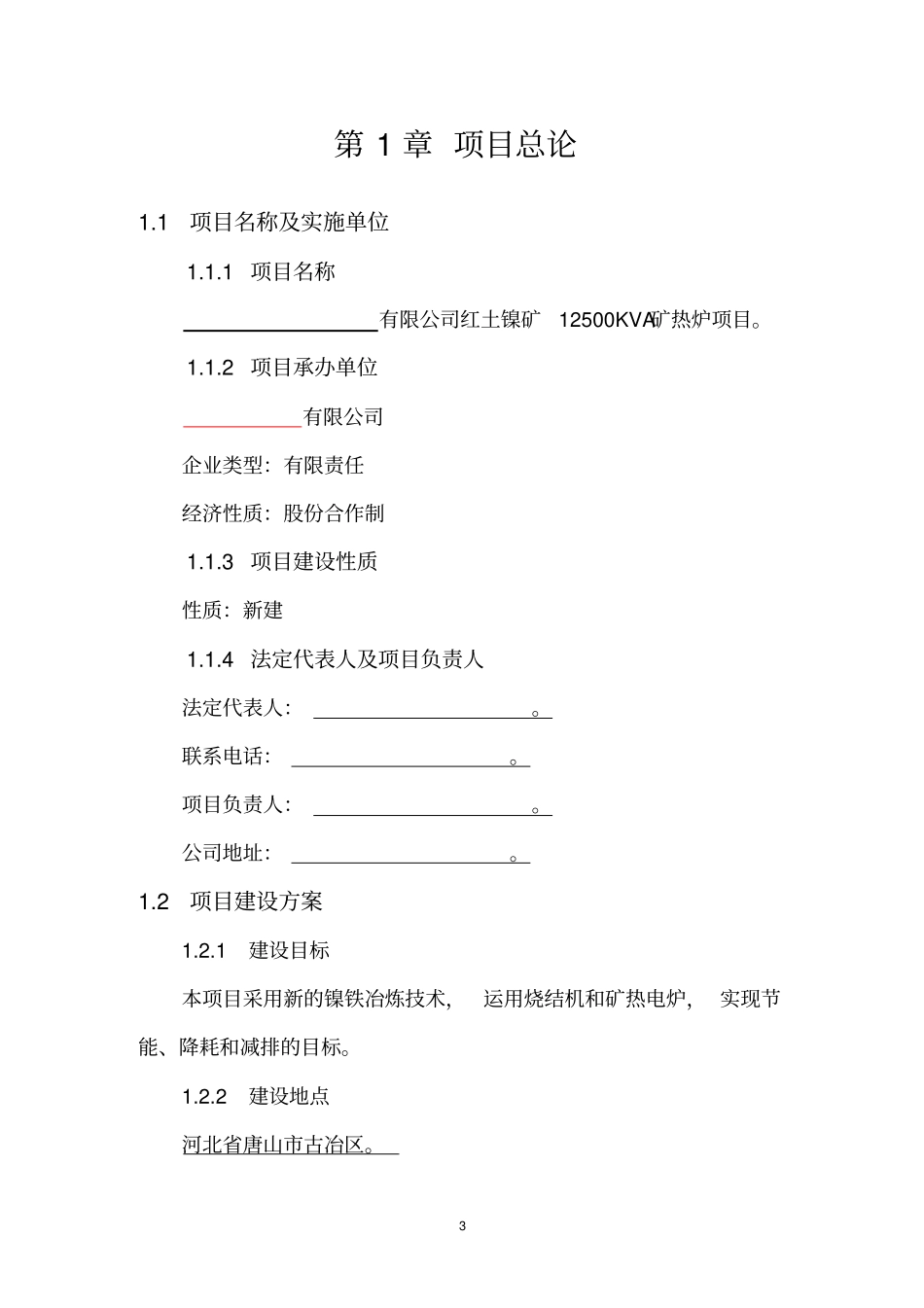 镍铁项目可行性研究报告_第3页