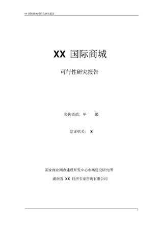 长沙x国际商城投资可行性研究报告