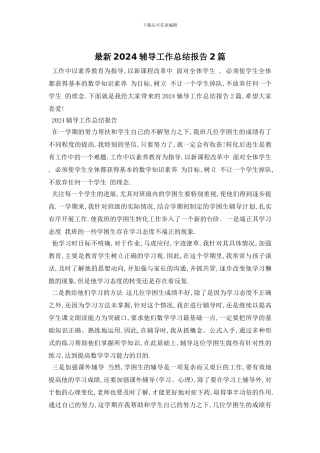 最新2024辅导工作总结报告2篇