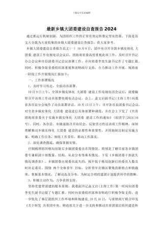 最新乡镇大团委建设自查报告2024