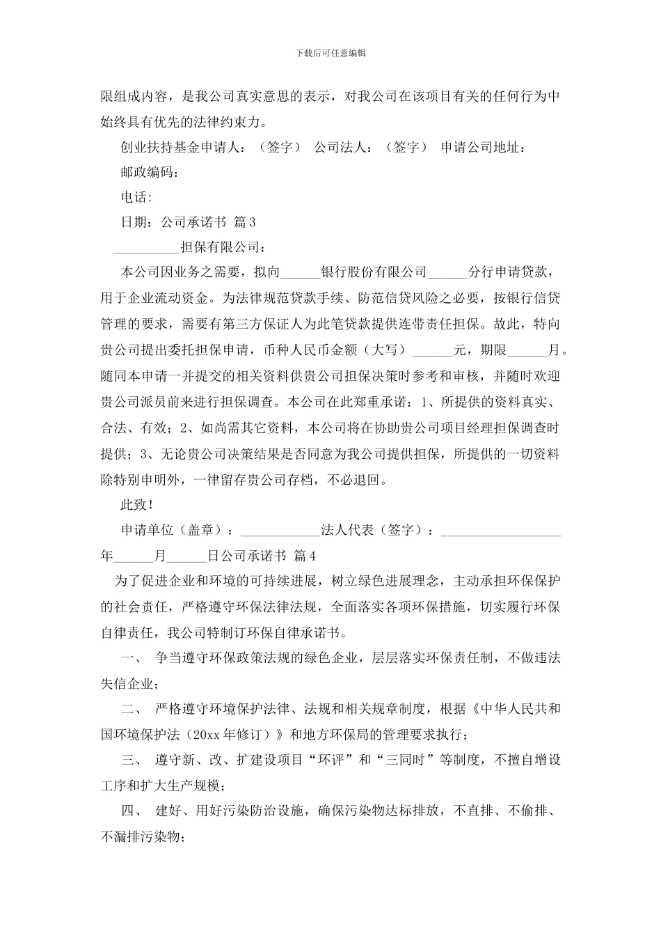 最新公司承诺书模板集合5篇_第2页