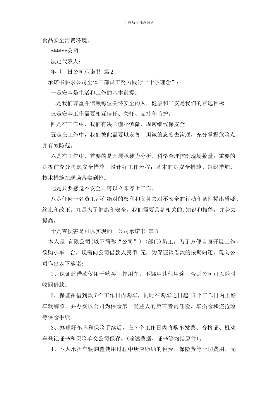 最新公司承诺书四篇_第2页