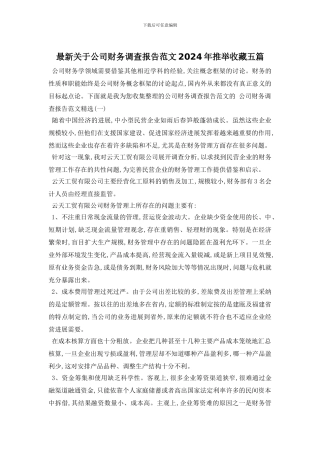最新关于公司财务调查报告范文2024年推荐收藏五篇