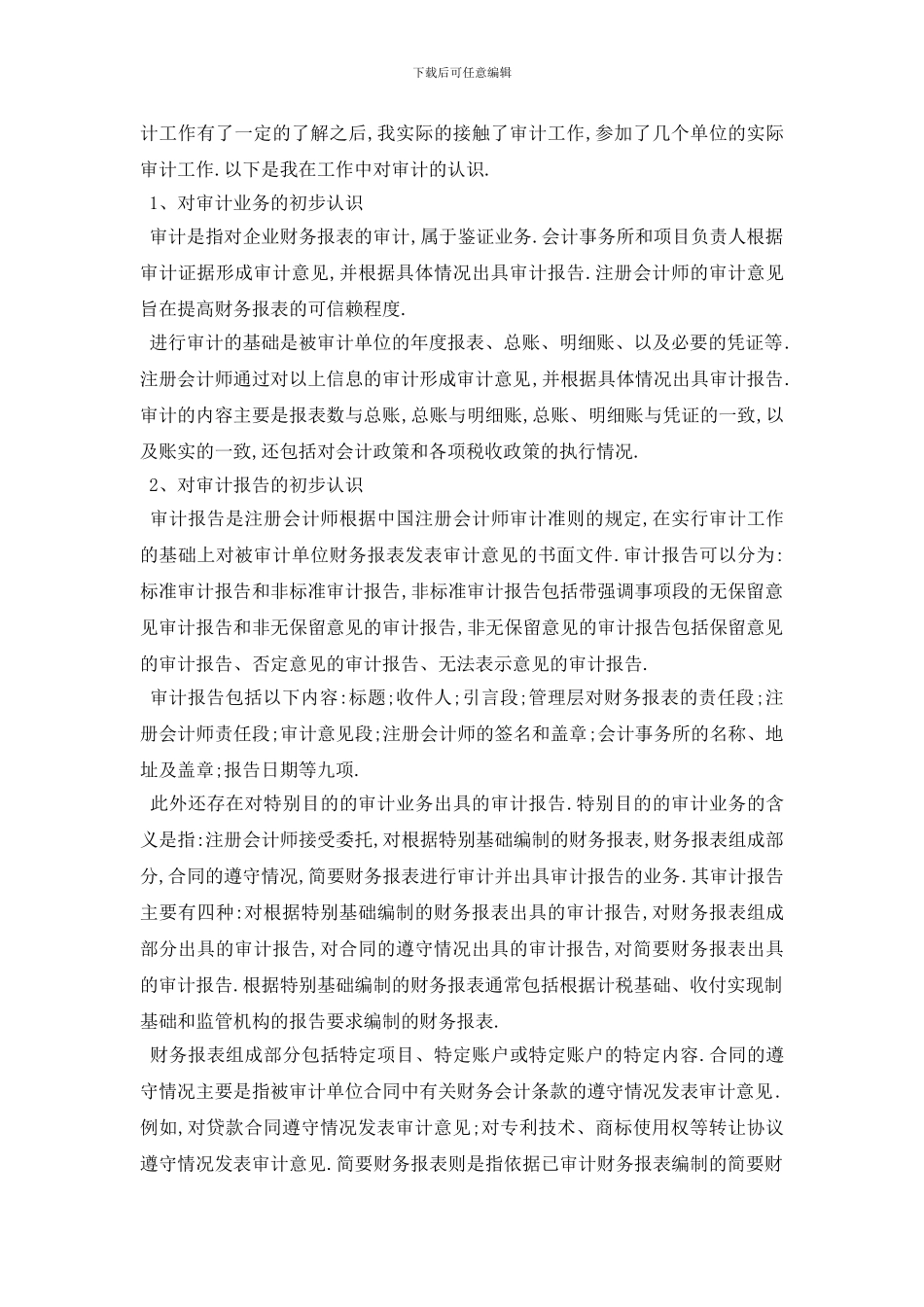 最新关于审计专业2024年度实习报告总结{范文}_第2页