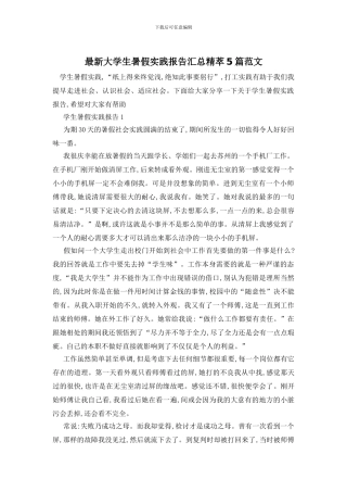 最新大学生暑假实践报告汇总精萃5篇范文