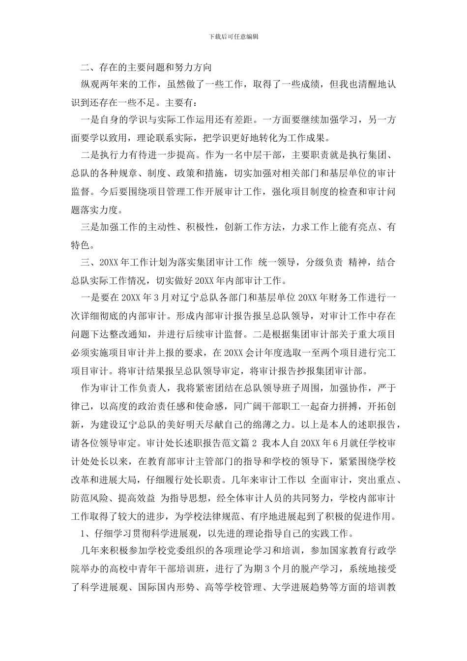 最新审计处长述职报告范文_第2页