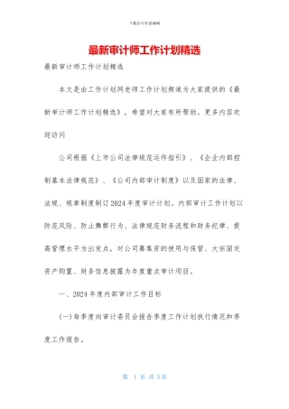 最新审计师工作计划精选