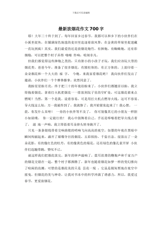 最新放烟花作文700字