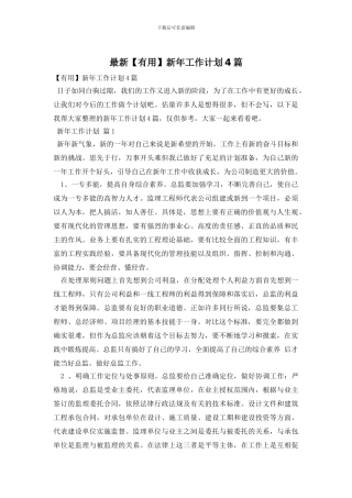 最新新年工作计划4篇