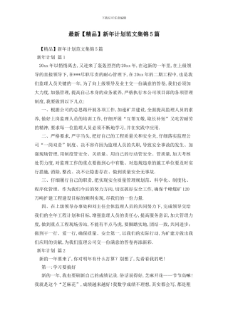 最新新年计划范文集锦5篇