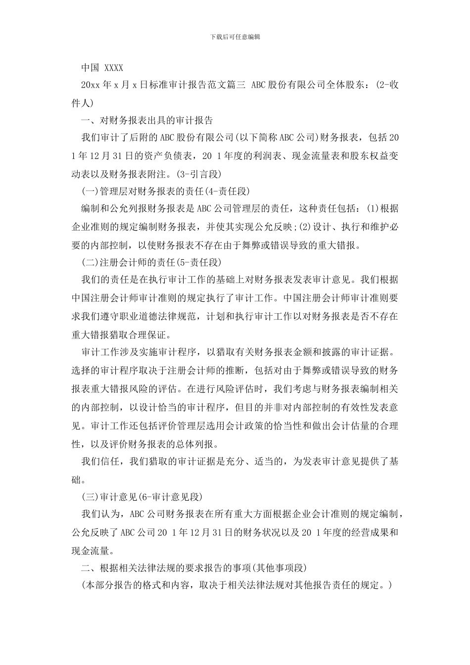 最新标准审计报告范文标准模板_第3页
