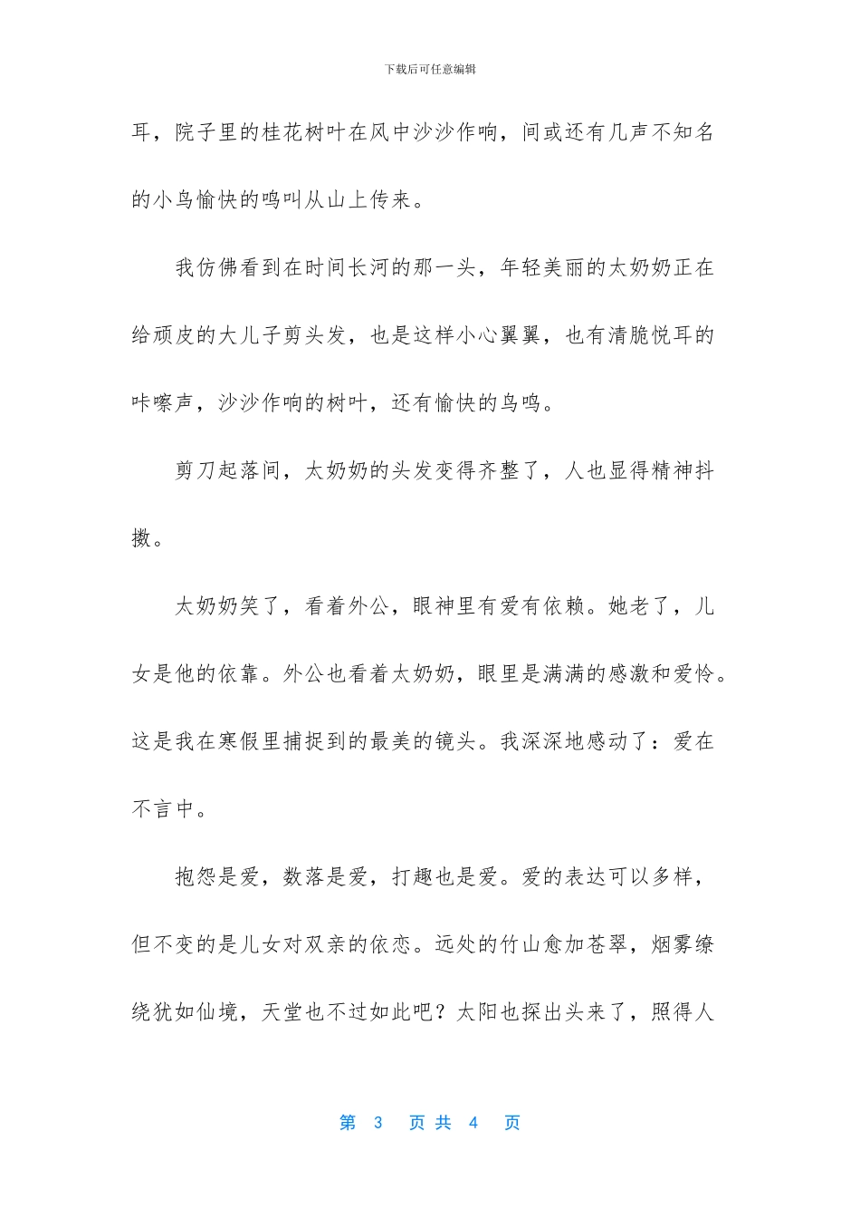 最美的镜头作文_第3页