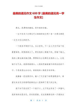 最美的遇见作文600字