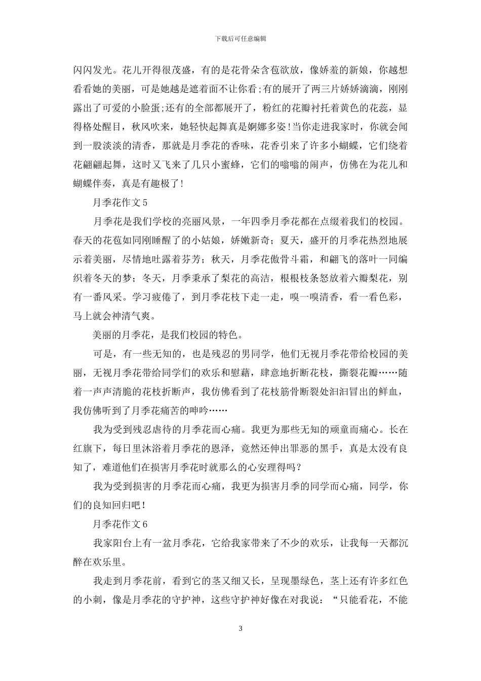 月季花作文通用15篇_第3页