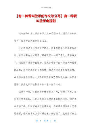 有一种爱叫放手电视剧