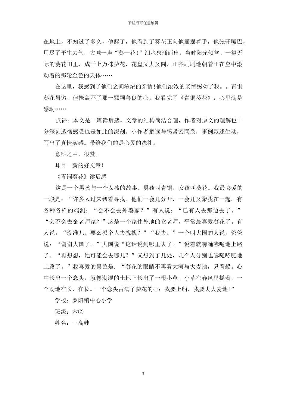 有关2024《青铜葵花》读后感_第3页