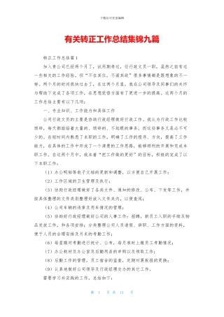 有关转正工作总结集锦九篇