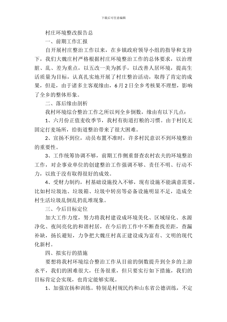 村庄环境整改报告总结_第2页
