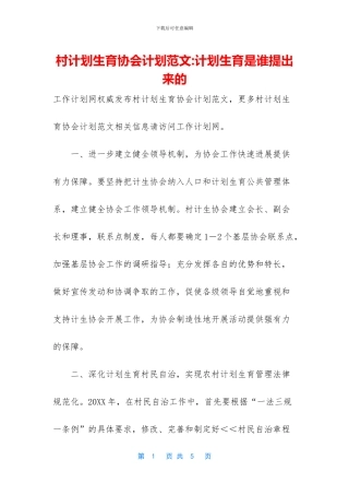 村计划生育协会计划范文