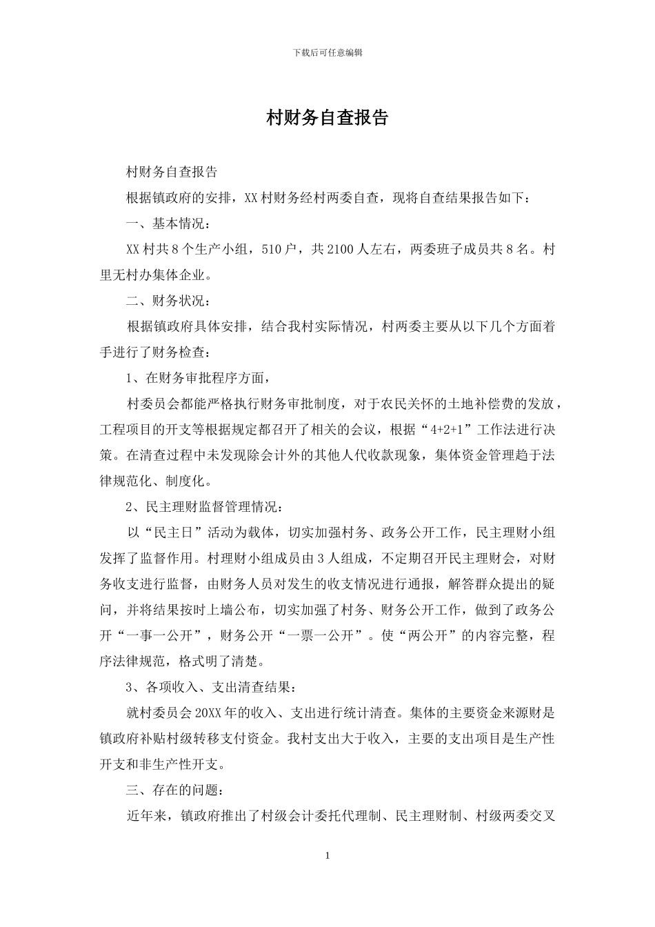 村财务自查报告_第1页