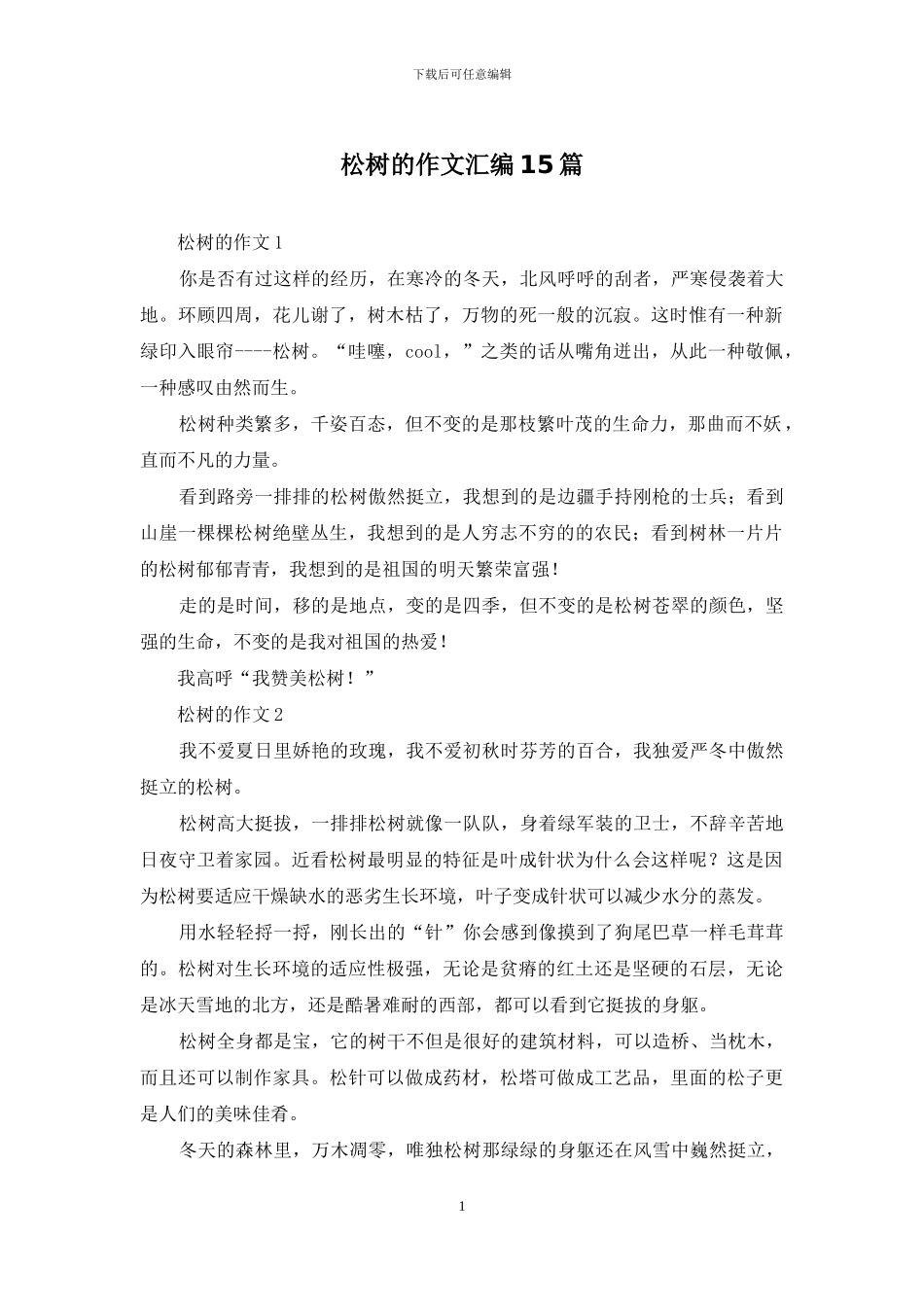 松树的作文汇编15篇_第1页