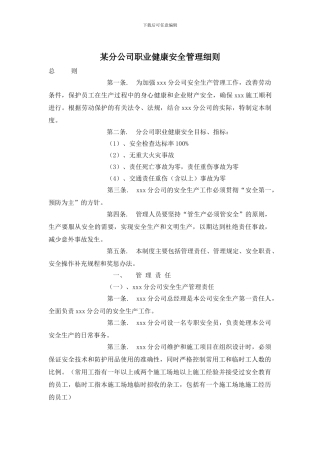 某分公司职业健康安全管理细则