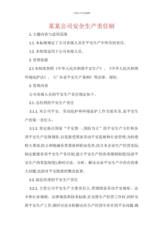 某某公司安全生产责任制