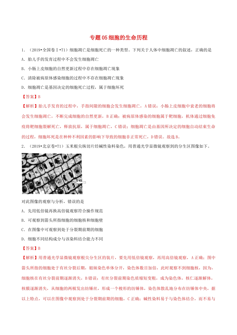 十年高考生物真题分类汇编 专题05 细胞的生命历程（含解析）-人教版高三全册生物试题_第1页