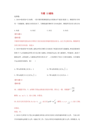 十年高考物理真题分类汇编 专题12 磁场（含解斩）-人教版高三全册物理试题