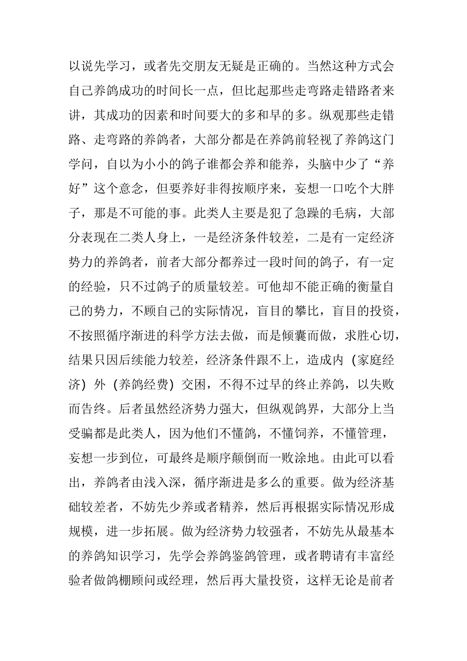 养鸽成功的十大秘诀_第2页