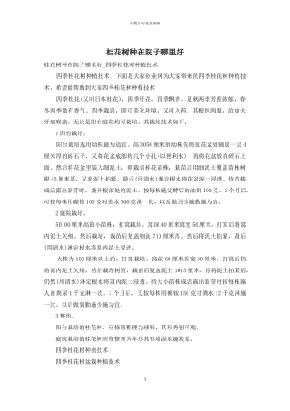 桂花树种在院子哪里好