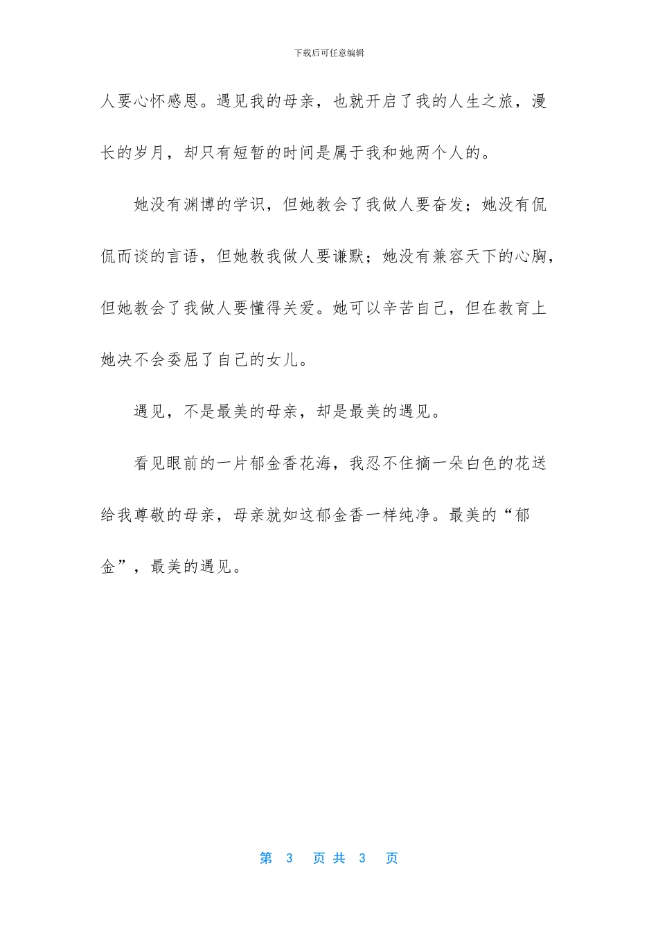 母亲最美的遇见作文_第3页
